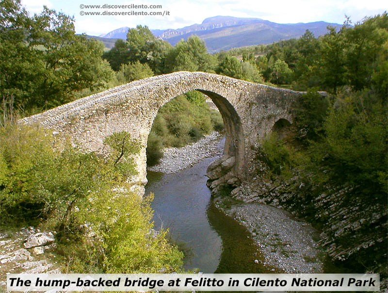 The famous hump-backed bridge at Felitto in Cileno National Park